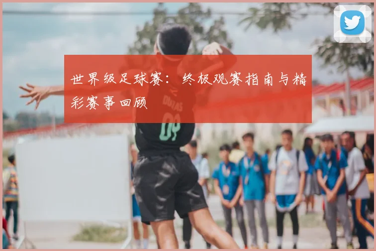 世界级足球赛：终极观赛指南与精彩赛事回顾