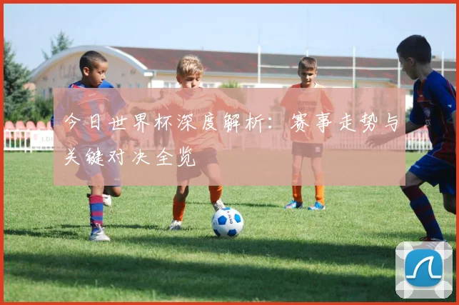 今日世界杯深度解析:赛事走势与关键对决全览