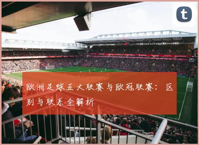 欧洲足球五大联赛与欧冠联赛：区别与联系全解析